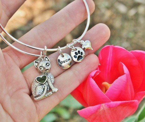 Cat lady expandable - lady,