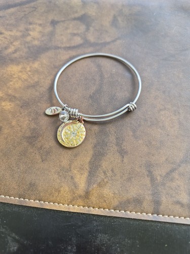 Alex and ani - alex, celestial