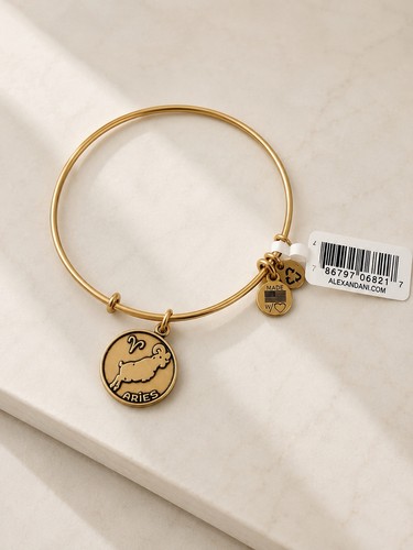 Alex and ani - alex,