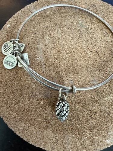 Alex and ani - and, silver