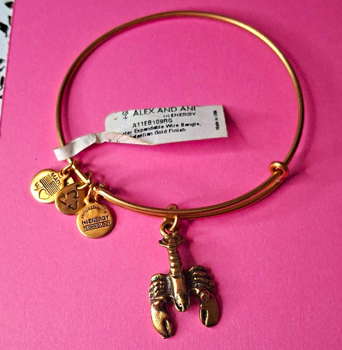 Alex and ani - ani, charm